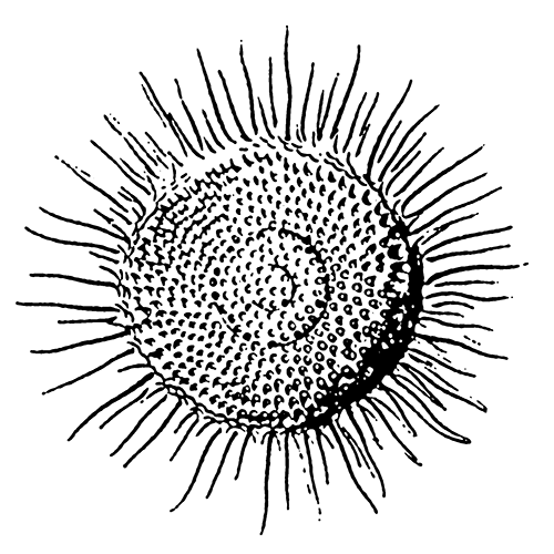 Imprints logo